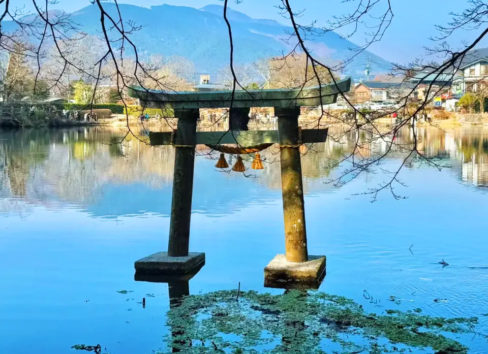 金麟湖