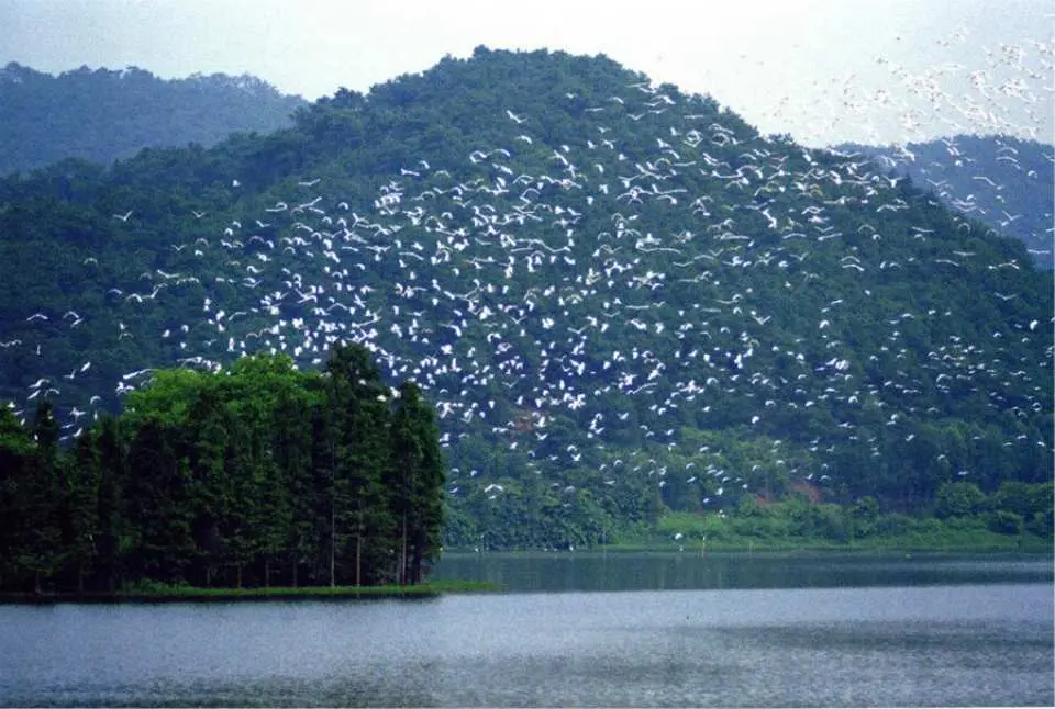 白鹭湖生态保护区，与白鹭鸶亲密接触：白鹭湖生态保护区由白鹭湖和白鹭岛组成，凭借着良好的原生环境，吸引了数千只对生态栖息环境要求非常苛刻的白鹭每年于此栖息。鹭群时而翱翔于天际 ，时而停栖在湖面或岛中，甚为壮观。