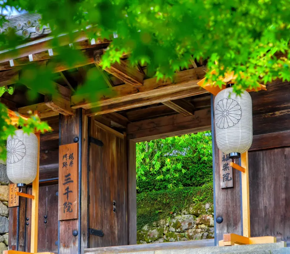 京都三千院傳統木製入口，掛有典雅白色燈籠，門後透出翠綠庭園，邀請旅客探索古寺靜謐與日式庭園設計。
