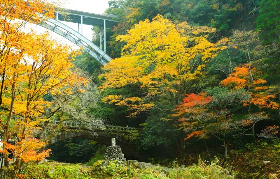 高千穗峽秋日風光，高聳的現代橋樑橫跨峽谷上方，下方則有古樸小橋，兩岸被染上金黃與橘紅的楓葉環繞，美不勝收。