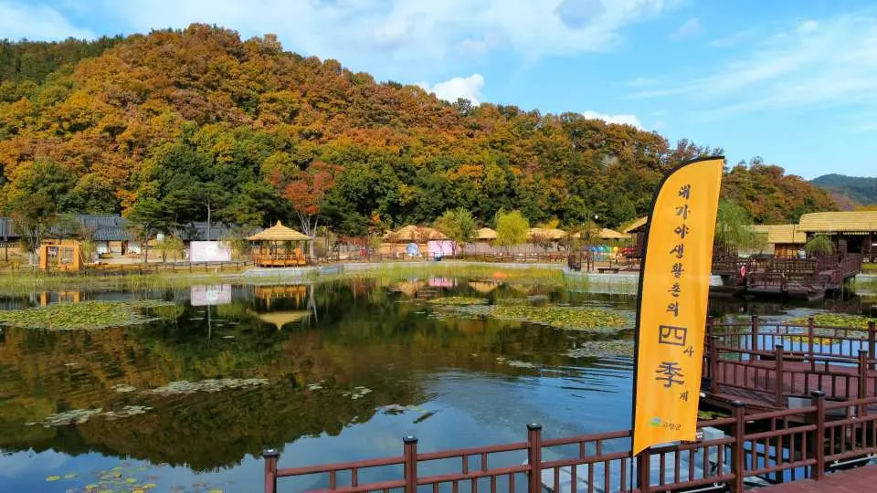 大加耶古墳展示館に隣接する美しい湖畔、黄金色の木々と伝統的な建物が湖面に映り込み、秋の風情を満喫できます。