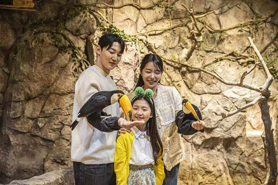 一家人於首爾Zoolung Zoolung永登浦室內動物園與熱帶巨嘴鳥親密互動，開心地餵飼這些色彩鮮豔的雀鳥。