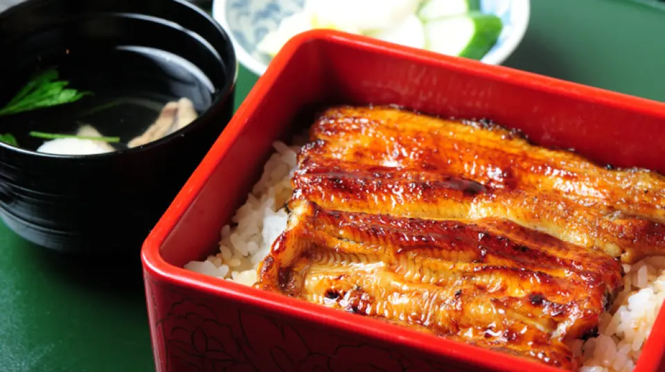 ที่ร้านของเรา คุณสามารถเพลิดเพลินกับปลาไหลย่างที่ย่างมาอย่างพิถีพิถันพร้อมสัมผัสบรรยากาศของอาซากุสะ ปลาไหลที่มีไขมันสูงกรอบด้านนอกและนุ่มฟูด้านใน พริกไทยเกียวโตที่คัดสรรมาอย่างพิถีพิถันช่วยเพิ่มรสชาติให้กับปลาไหล เราเสิร์ฟข้าวหน้าปลาไหล 3 แบบ ได้แก่ "อุเมะ" "อิโช" และ "โมมิจิ" โปรดเพลิดเพลินกับอาหารจานเลิศจานนี้ที่ดึงเอาเสน่ห์ของปลาไหลออกมาได้ดีที่สุดผ่านการปรุงอย่างพิถีพิถัน