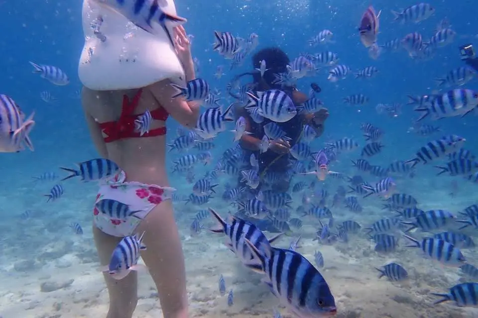 沖繩青洞海底漫步，遊客被熱帶魚群環繞，戴著全罩式面罩享受在清澈海底輕鬆漫步的體驗。