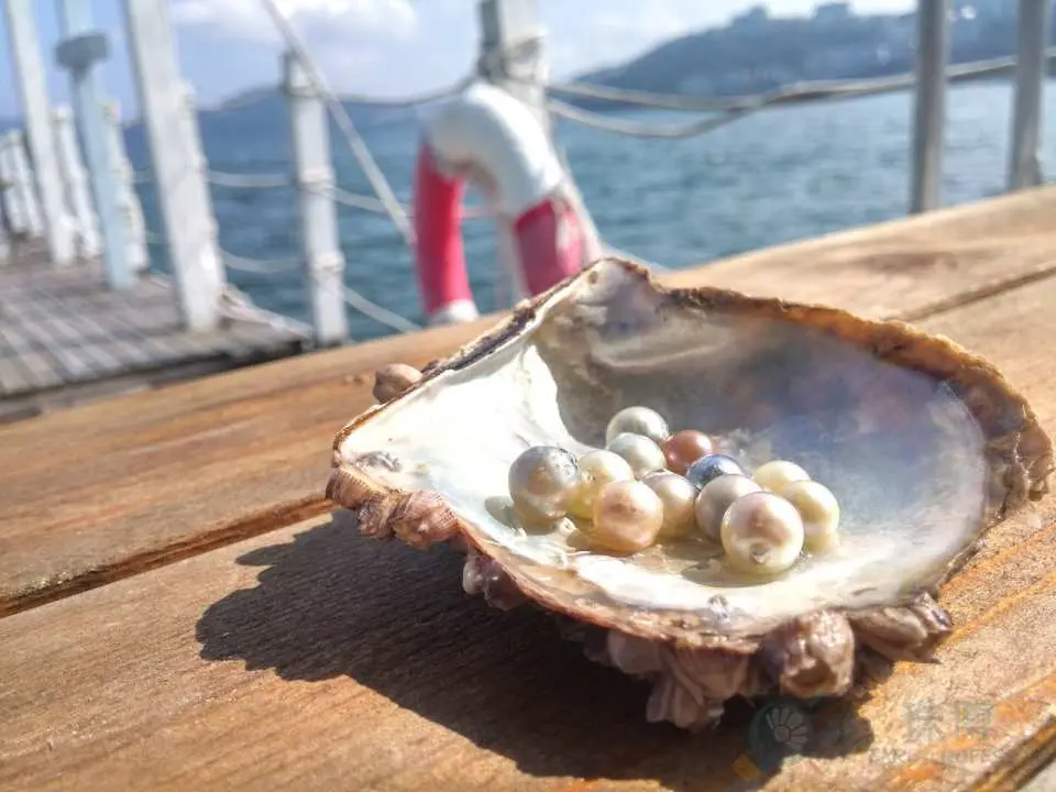 Use the instructor's tricks on how to get a shell to open up