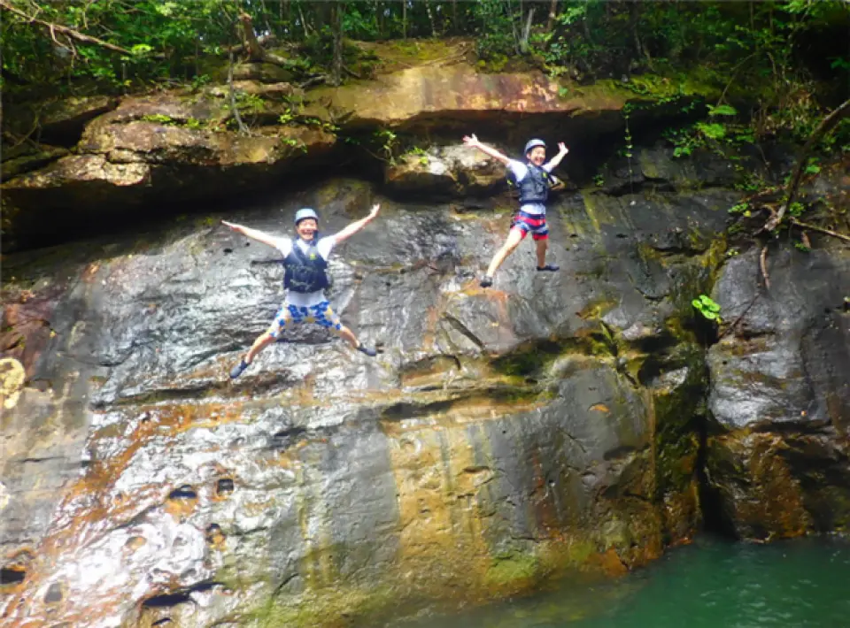 높은 곳에도 도전 할 수 있습니다.