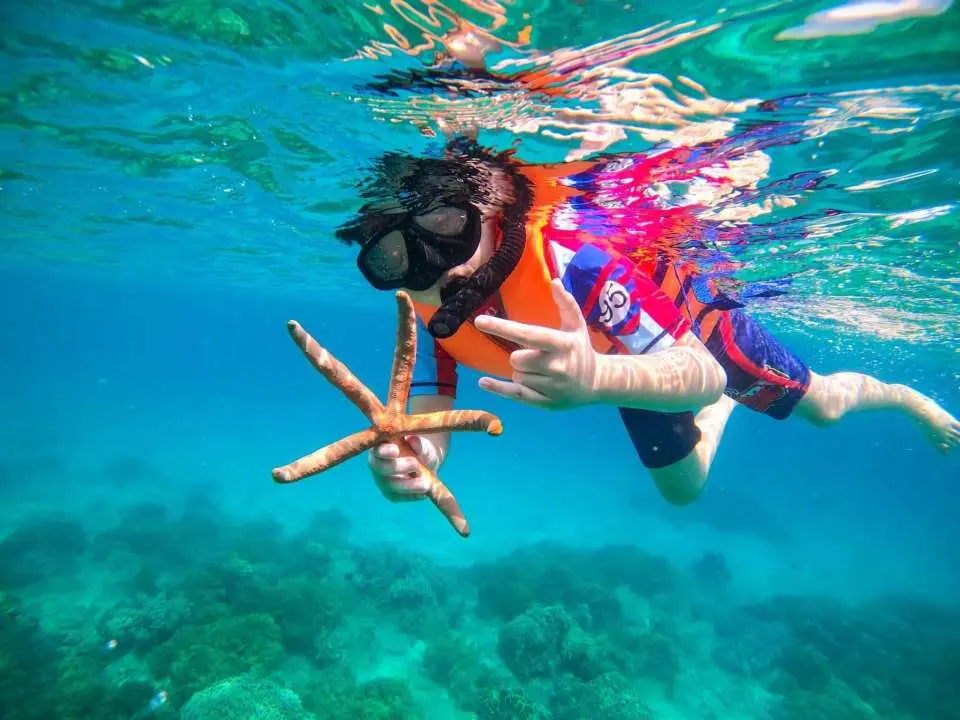[MUST TRY ACTIVITIES] Snorkeling Experience - A chance to capture the magical marine life of Nha Trang
