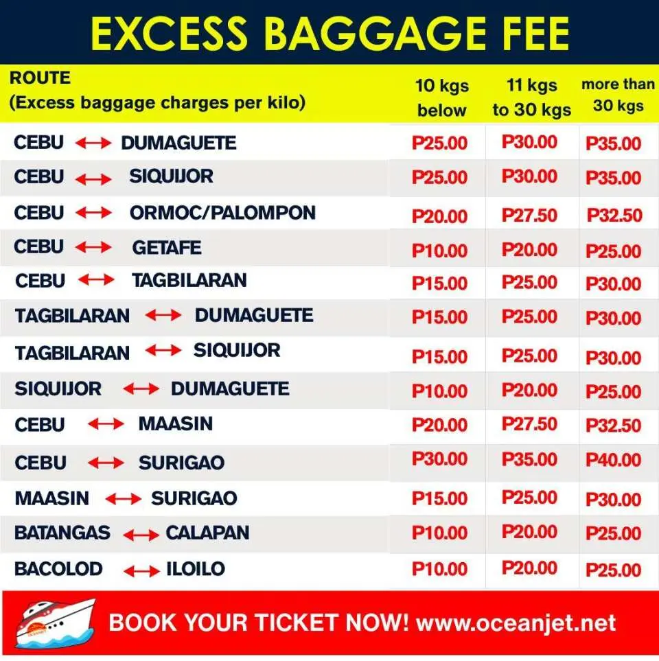 超過手荷物料金