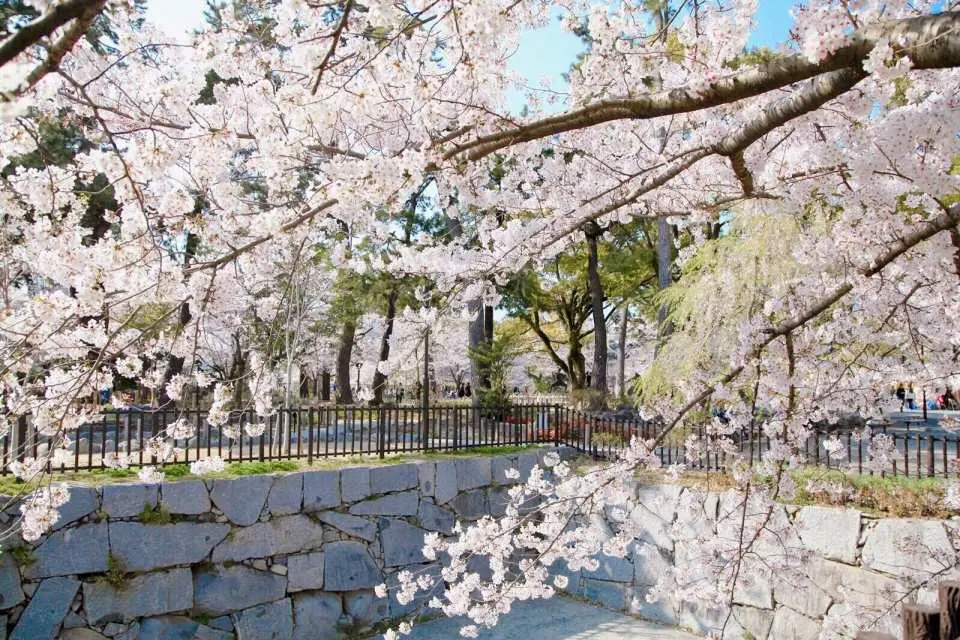 参观著名的胜山公园