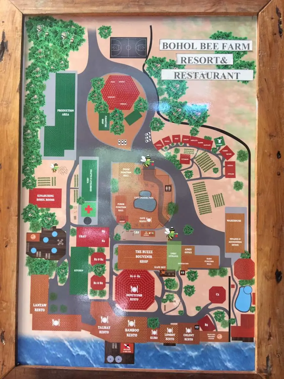 Trang trại ong Bohol Bee Farm