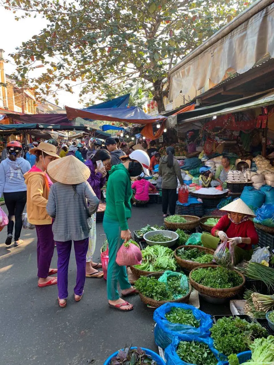 会安生态烹饪课的篮子船之旅和烹饪课体验|越南会安- KKday