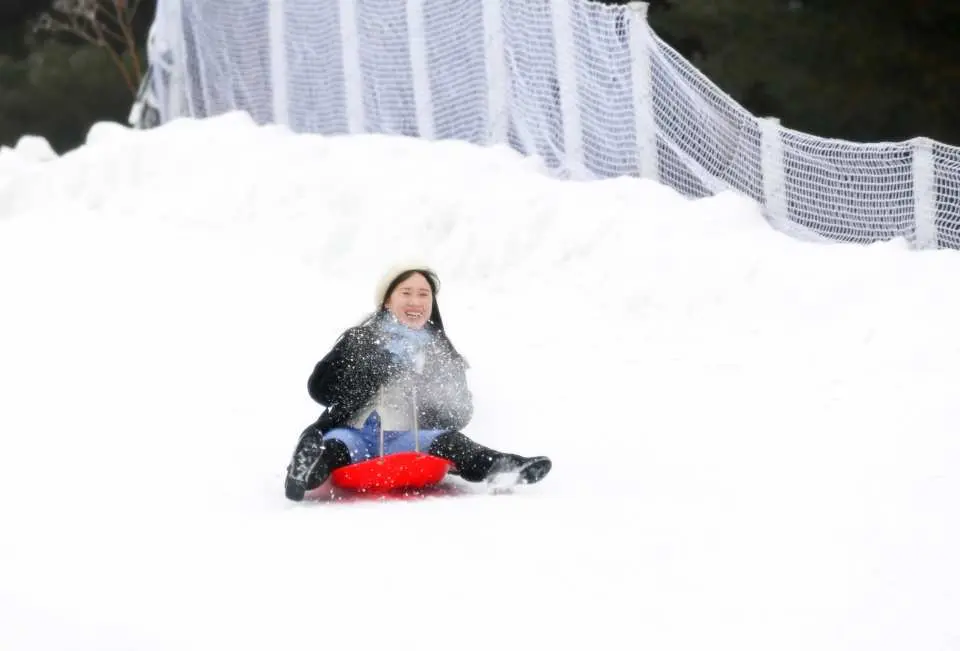 南怡島冬季雪地活動，遊客乘坐紅色雪橇在雪坡上歡樂滑行，體驗刺激有趣的冬日戶外樂趣。