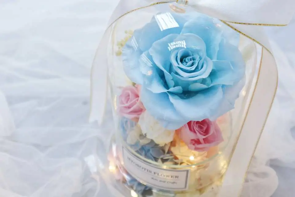 Myosotis.flower Kwun Tong preserved flower DIY creation, a clear glass dome featuring a prominent blue preserved rose, accented with pink roses and warm fairy lights, tied with a white ribbon, creating a charming and elegant display.