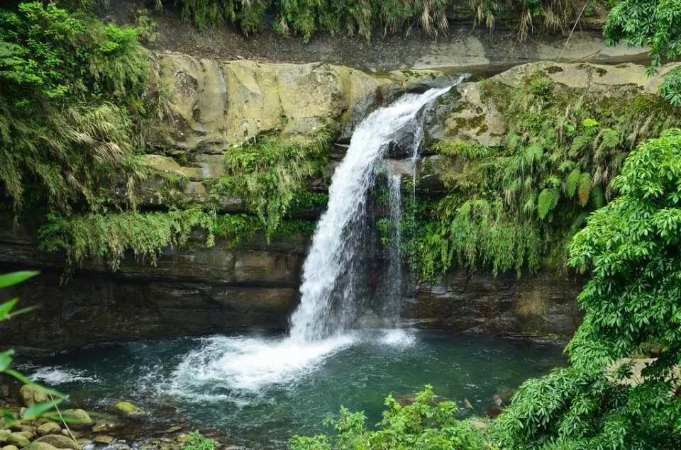 观音瀑布清澈水流自岩壁倾泻而下，汇入碧绿潭水，周围被茂盛绿意环绕，是嘉义包车一日游的幽静自然景点。