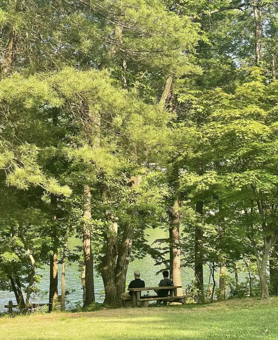 Alpaca World - Nami Island - Petite France