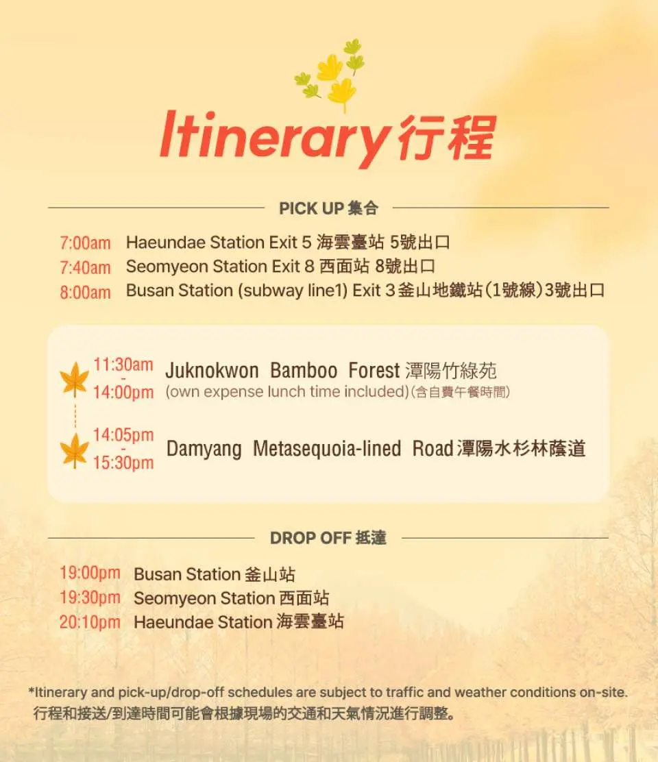 潭陽秋季一日遊的詳細行程表，列出釜山各集合點的接送時間，以及竹綠苑竹林與水杉林蔭路的遊覽順序與時間安排。