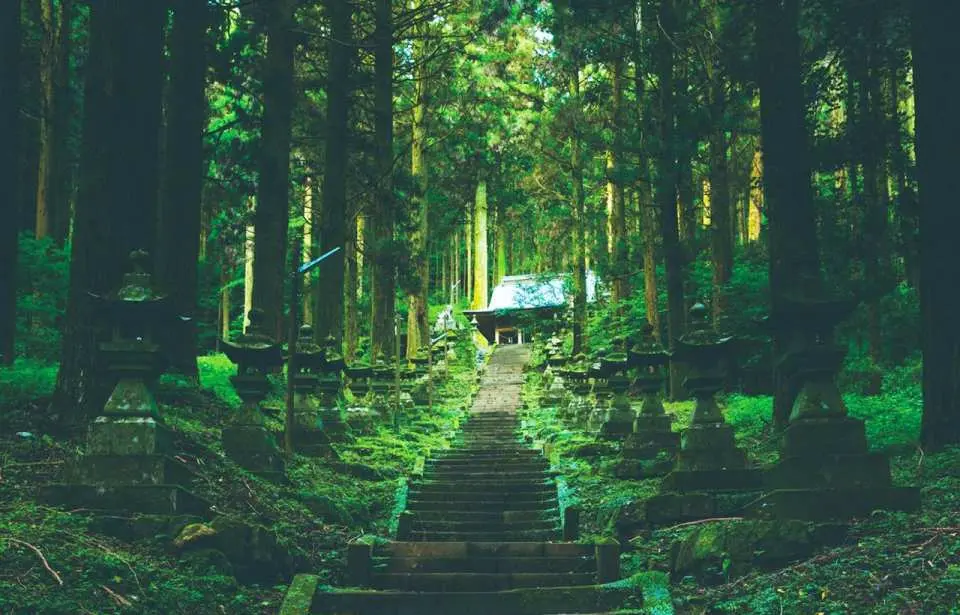 上色見熊野座神社幽暗而神秘的森林參道，古老石燈籠與青苔覆蓋的階梯，引人探索動畫般的九州祕境。