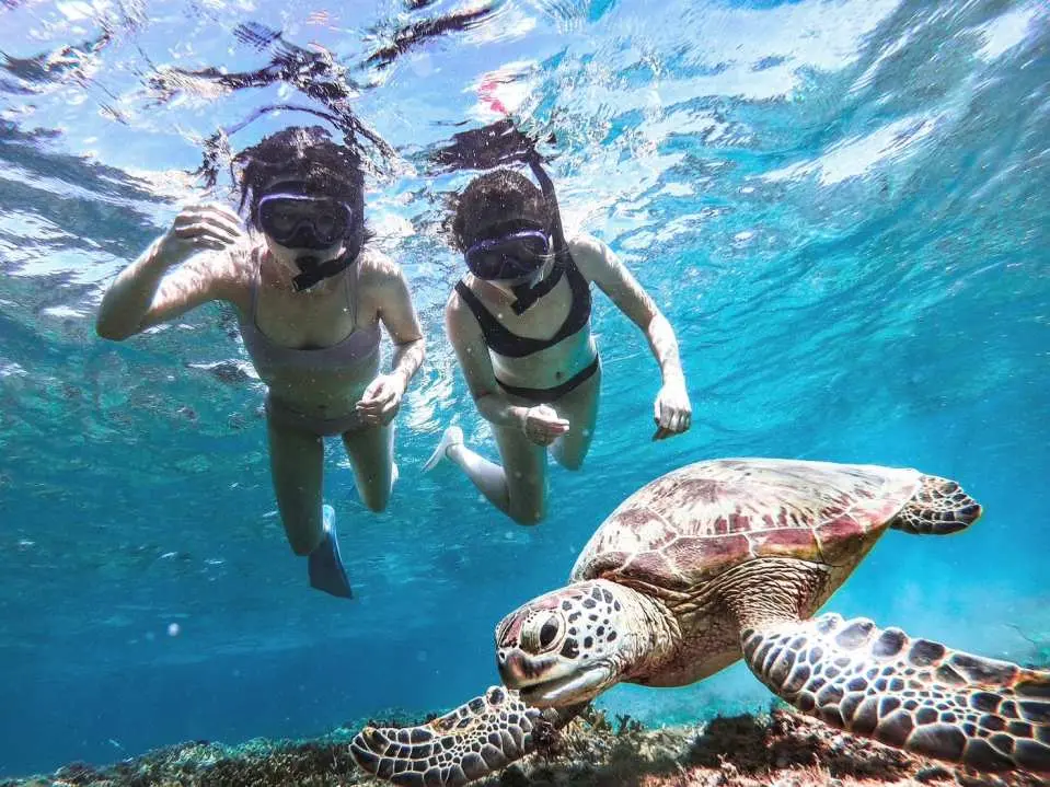 ②9:00 AM/11:00 AM, 1:30 PM/3:30 PM
Snorkeling experience!