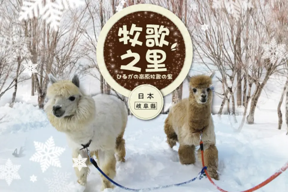 【入●牧歌之里冰雪樂園～雪盆、雪上甜甜圈、雪地泛舟〉入●日本三大名城－名古屋城～本丸御殿〉入●光伸免稅店〉入●名古屋市區自由活動】