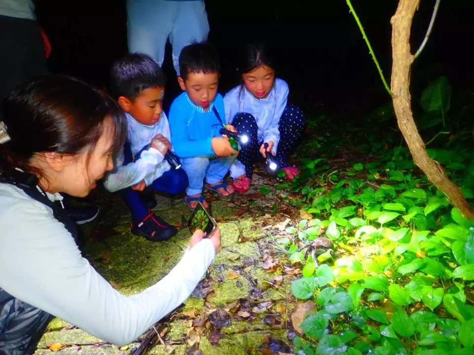 An adult and three children with flashlights exploring the jungle in Miyakojima, eagerly searching for rare nocturnal tropical creatures during a night tour.