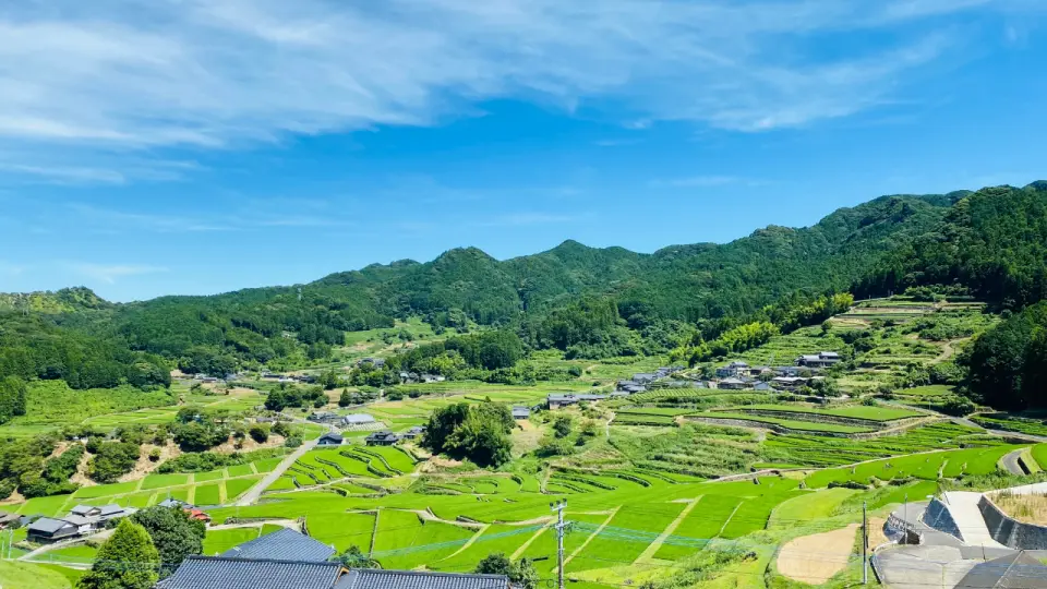 長崎波佐見町飯木梯田的壯麗全景，展現當地農業景觀與自然美學，令人心曠神怡。