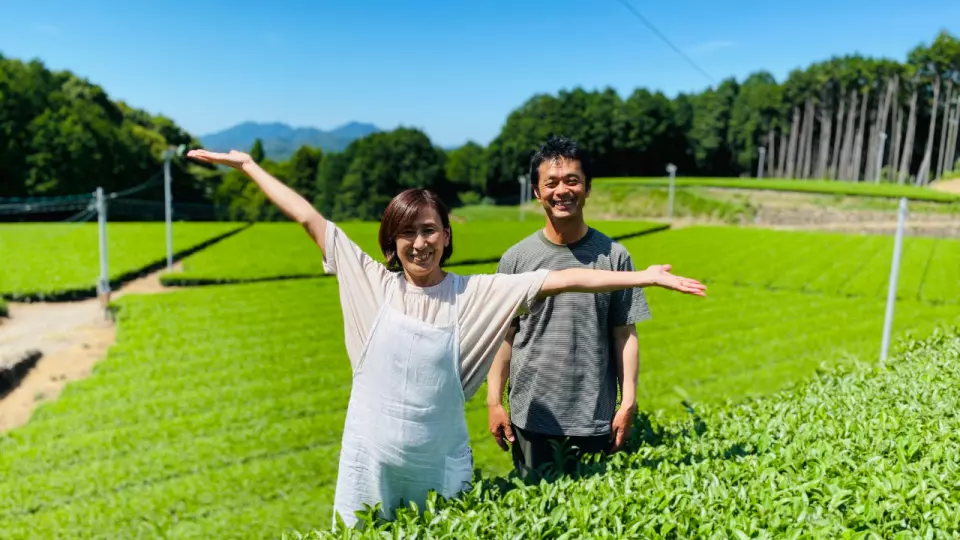波佐見町茶農夫婦在翠綠茶園中熱情歡迎，準備帶領遊客體驗日本茶的奧秘。
