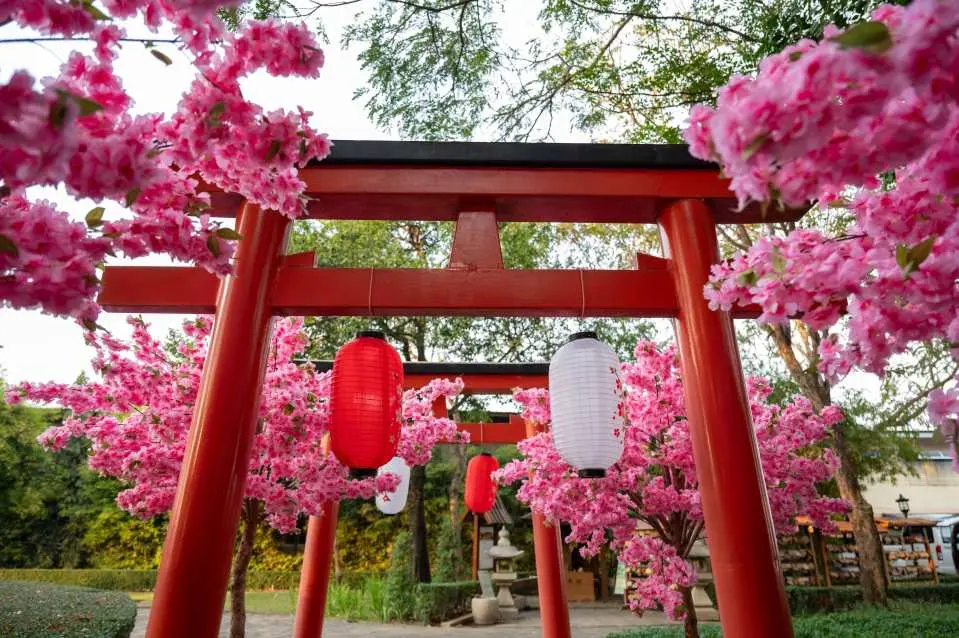 A stunning close-up view through a vibrant red Japanese torii gate adorned with red and white lanterns, framed by lush pink cherry blossom branches.