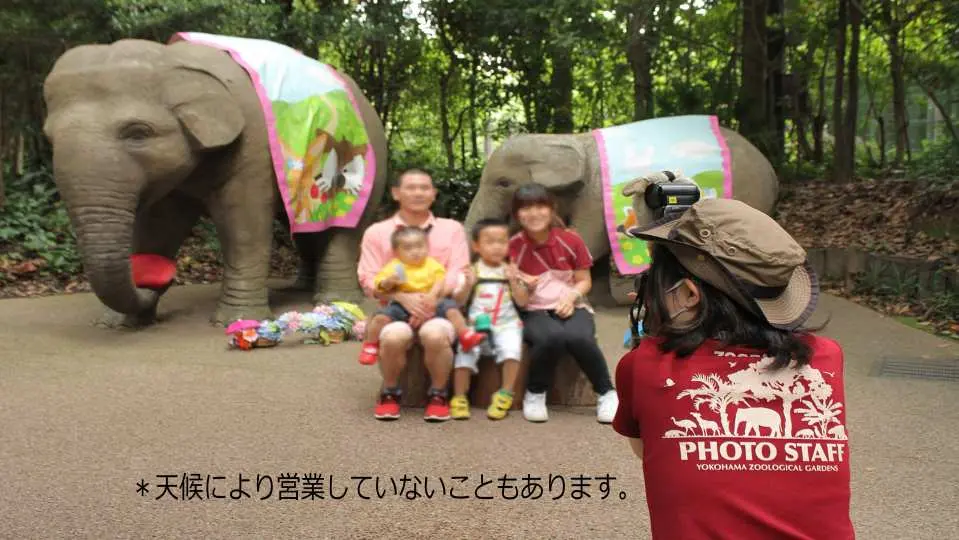 ゾウのオブジェの前のフォトサービスでは、お客様の写真入りどうぶつ図鑑を１グループ１枚プレゼント！