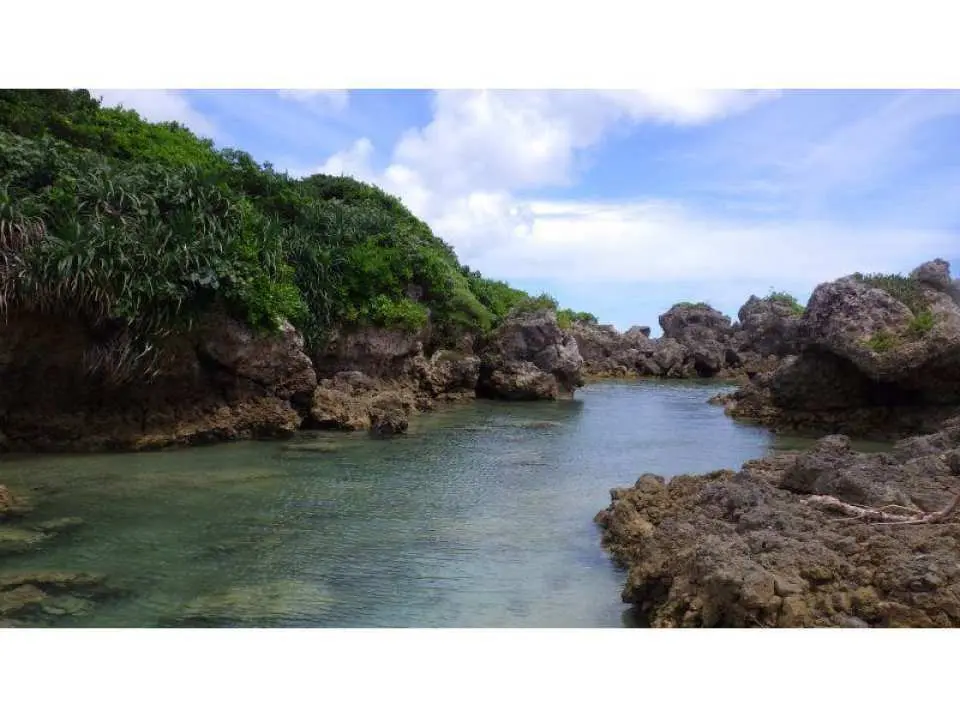 無人島を探索！