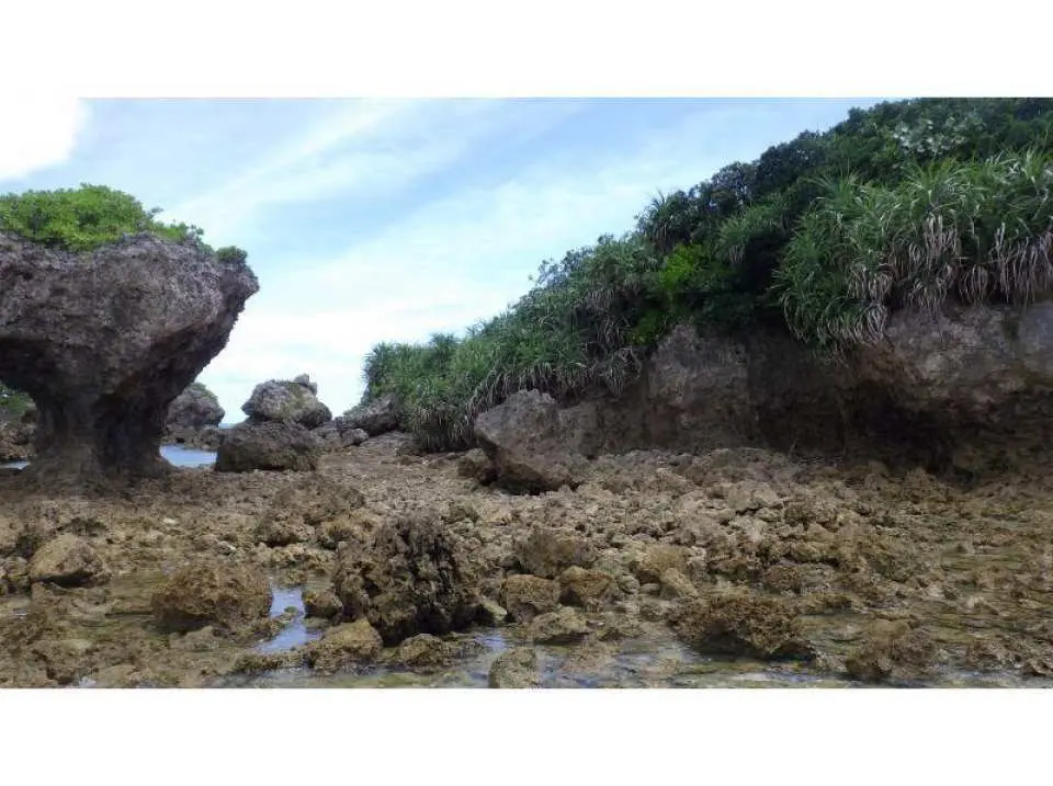 無人島を探索！