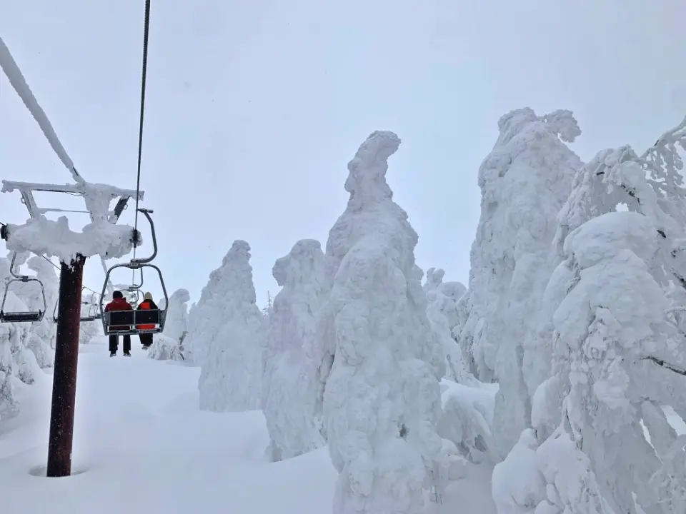 【入●藏王樹冰纜車LIZA WORLD(冬季限定樹冰奇景、開放式吊椅)〉入●雪盆戲雪趣〉入●銀山溫泉街散策、自由享受足湯】