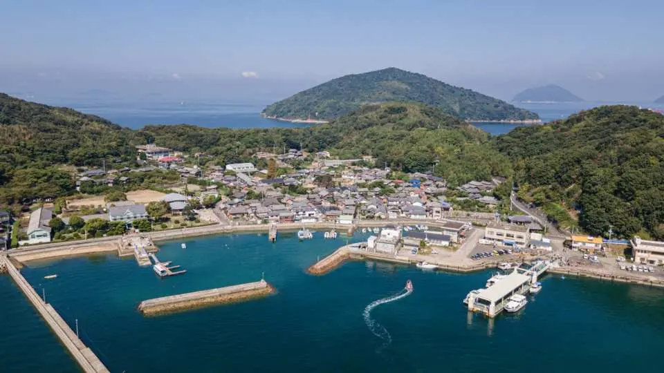 淡岛 照片 宫胁慎太郎