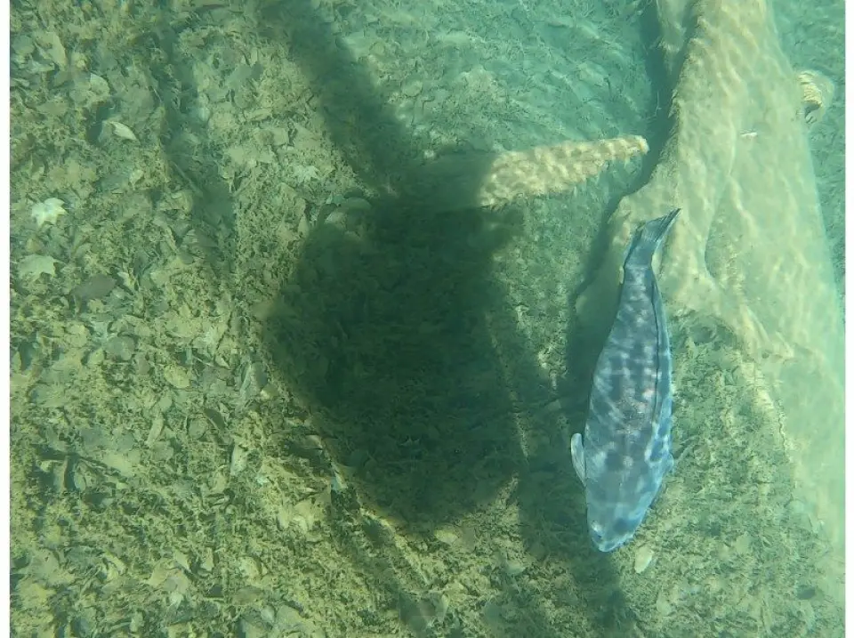 支笏湖ブルー＆最高の笑顔♪