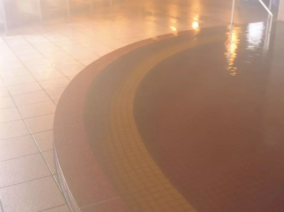 "Moor Hot Springs" are rare worldwide