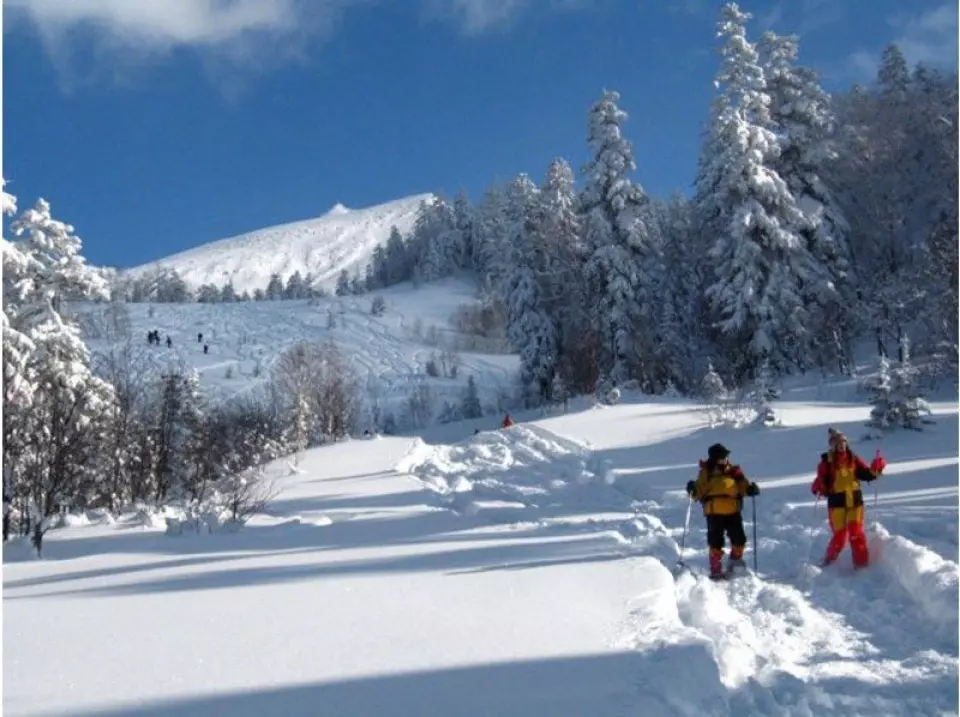 ふわふわの雪を足取りも軽く十勝連峰の山並みを眺めながら進みます