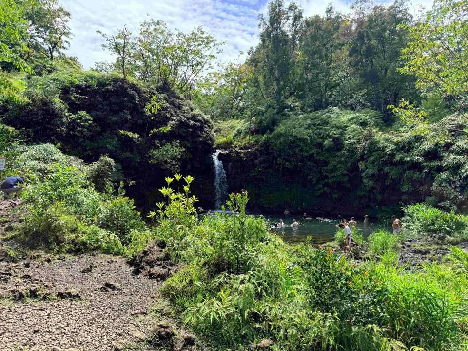 マウイ島で緑豊かな熱帯植物に囲まれた美しい滝。透き通った天然のプールでの水泳体験。