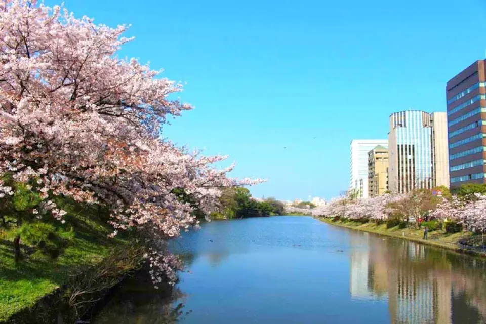 【入●御船山樂園(賞櫻)〉照●佐賀小城公園(賞櫻百選名所)〉入●光伸免稅店〉照●舞鶴公園(賞櫻)〉入●AEON MALL永旺夢樂城購物中心】