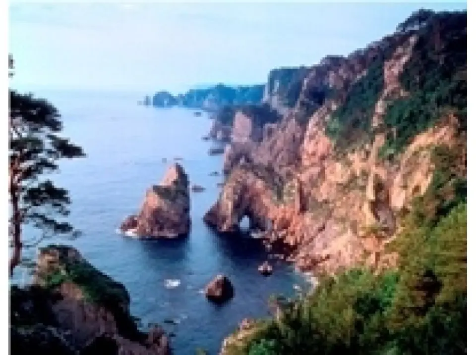 Rikuchu Coast Nature Experience