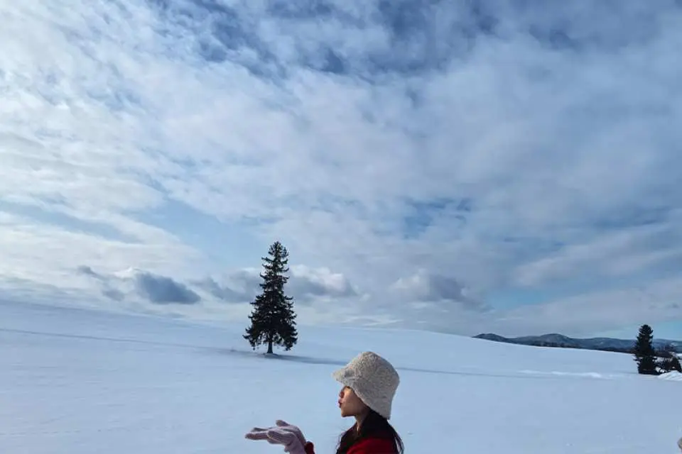 【聖誕樹】 美瑛聖誕樹，世界上最孤獨的聖誕樹，大雪漫天的時候真的很有氛圍感
