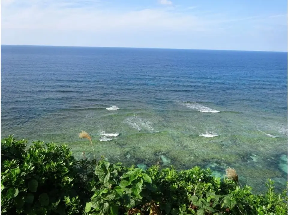 Sea Turtle Viewpoint