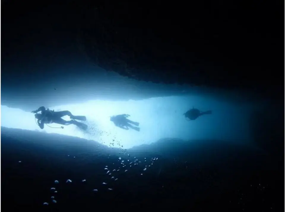 Swim in the gravity-free underwater world