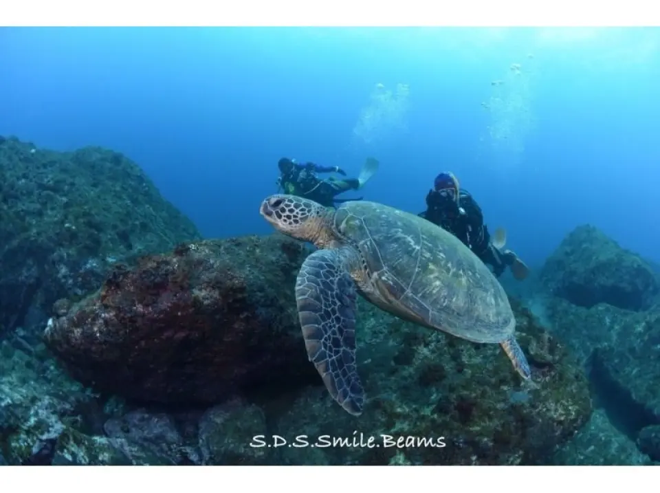 Fun Diving owns two private boats