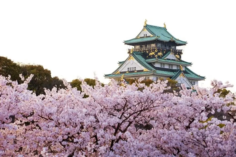 【入●大阪城公園(不上天守閣)〉關西機場／桃園】