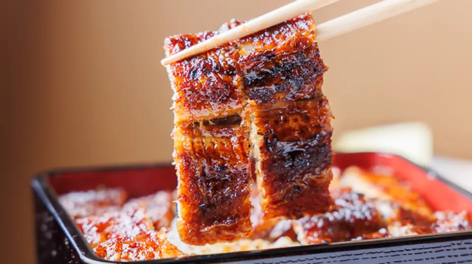 Our proud eel dishes are made with domestically caught eels from Mikawa. They are slowly grilled over charcoal after an order is placed, allowing you to enjoy their rich aroma and texture. We recommend the "Eel Set," which uses a whole eel. This great value set includes soup and dessert, and is perfect for both lunch and dinner!