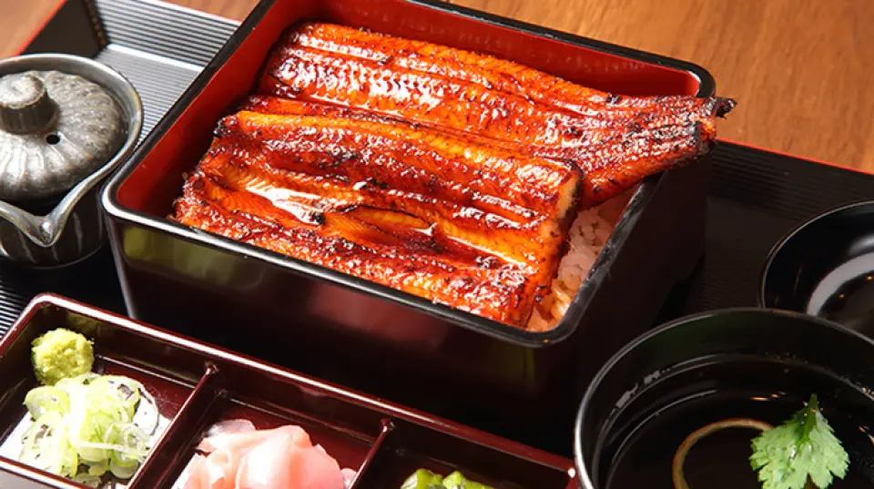 在他們引以為傲的鰻魚料理中，我們推薦“口味對比套餐”，讓您一次品嚐三種鰻魚：特上鰻魚、上鰻和浪鰻。每日僅限10份，務必儘早預約！品嚐選用宮崎縣精選國產鰻魚製成的鰻魚醬。餐後，您可以放鬆身心，細細品味一杯與鰻魚醬完美搭配的成瀨黑咖啡，享受餘韻。