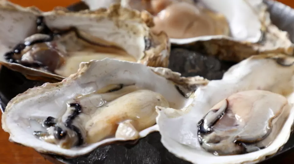 Our restaurant's proud raw oysters are delivered directly from the Sanriku coast of Miyagi Prefecture and offered at cost price. The large, plump raw oysters have a rich, milky flavor. We also recommend eating them simply with lemon or our original ponzu sauce to bring out the natural flavor of the ingredients!