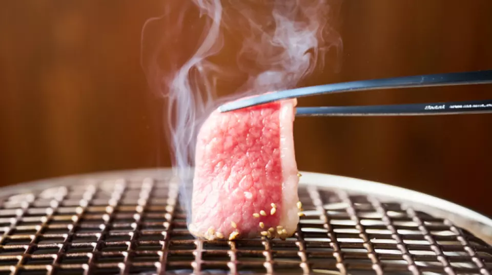 We offer A4-5 rank Japanese Black Beef, carefully selected by our skilled chefs. Regardless of the region of origin, we source our high-quality meat from suppliers who supply many famous restaurants. We also offer a wide variety of snacks to go with your drinks, such as hand-rolled sushi made with shrimp, sirloin, and salmon roe, as well as a full menu of savory dishes such as hiyashi noodles and bibimbap. Shaved ice, available all year round, is the perfect treat after a meal of yakiniku. We also have a children's menu, so families with children are welcome to visit us.