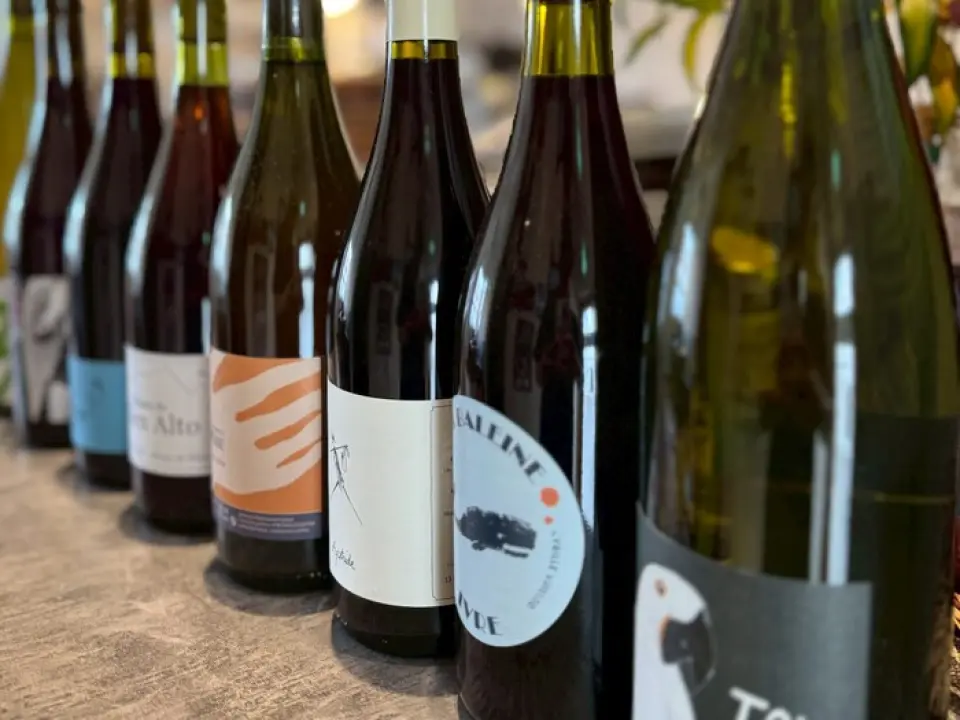 We have a selection of around 100 types of natural wine, mainly from Italy, that perfectly complements our food. If you would like to purchase a bottle, we will suggest a brand that goes well with each dish. We also have two types of wine by the glass, red and white, so please feel free to try them. We also have a wide selection of non-wine alcoholic drinks such as beer and highballs, as well as soft drinks.