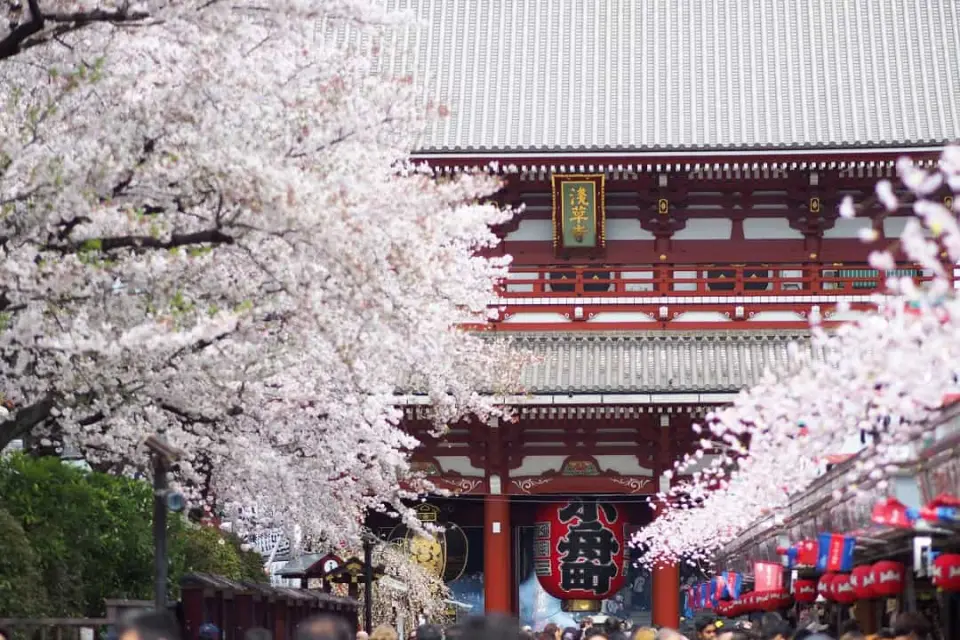 【飯店〉照●千鳥之淵(賞櫻)〉照●淺草觀音寺、仲見世街(賞櫻)〉入●東京晴空塔SKY TREE(登上350m天望甲板)〉入●天空町商店街〉飯店】