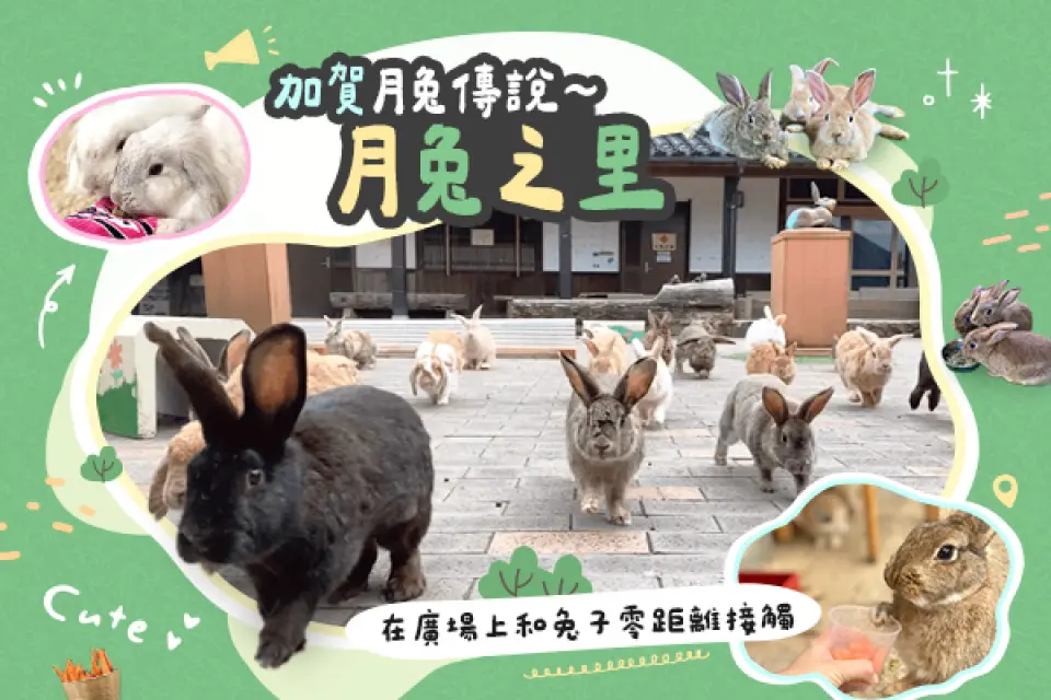 【入●氣比神宮〉入●月兔之里～兔子廣場、月兔神社〉日本三大名園－兼六園〉江戶三大茶屋街－東茶屋街】